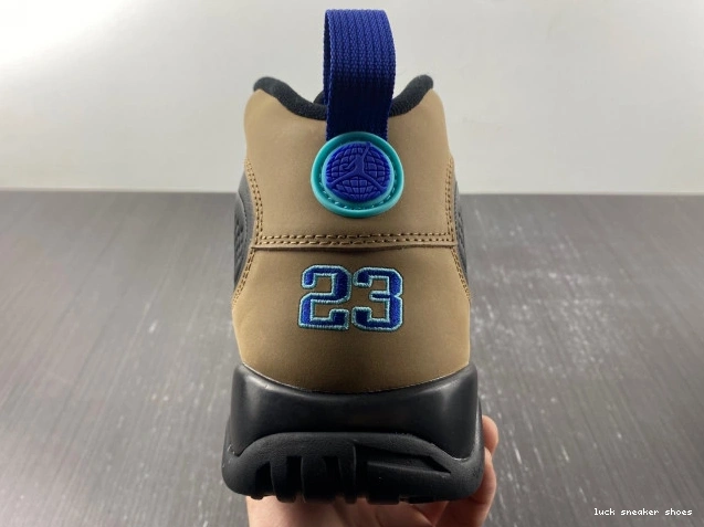 Reps LUCY 9 Jordan Olive Concord Retro CT8019-034 Air 0718